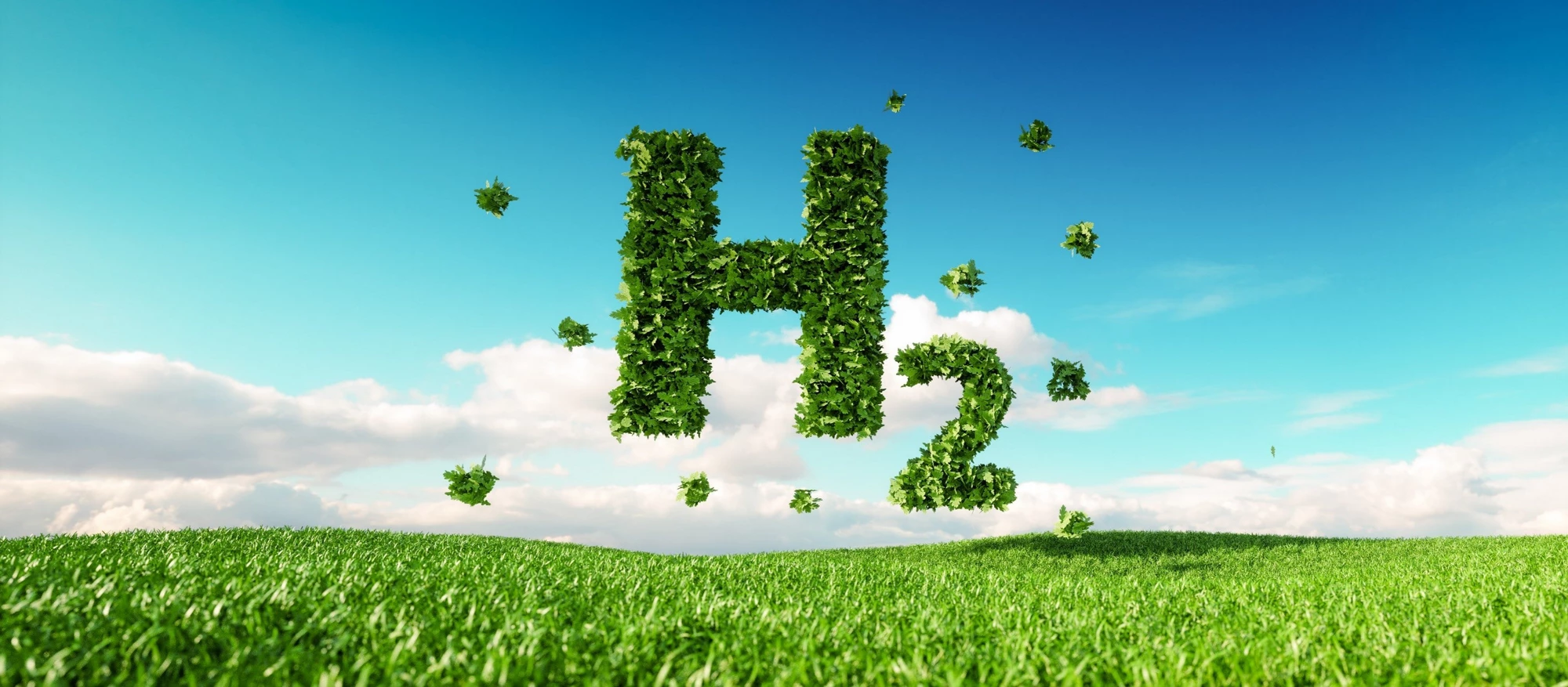Illustrative Image - Replace with a relevant image of green hydrogen production or use